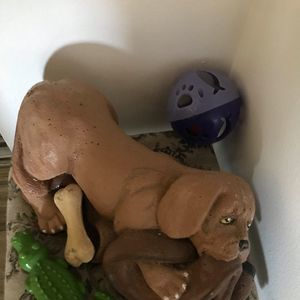 Meet your Posher, Betty